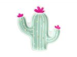 Plato cactus