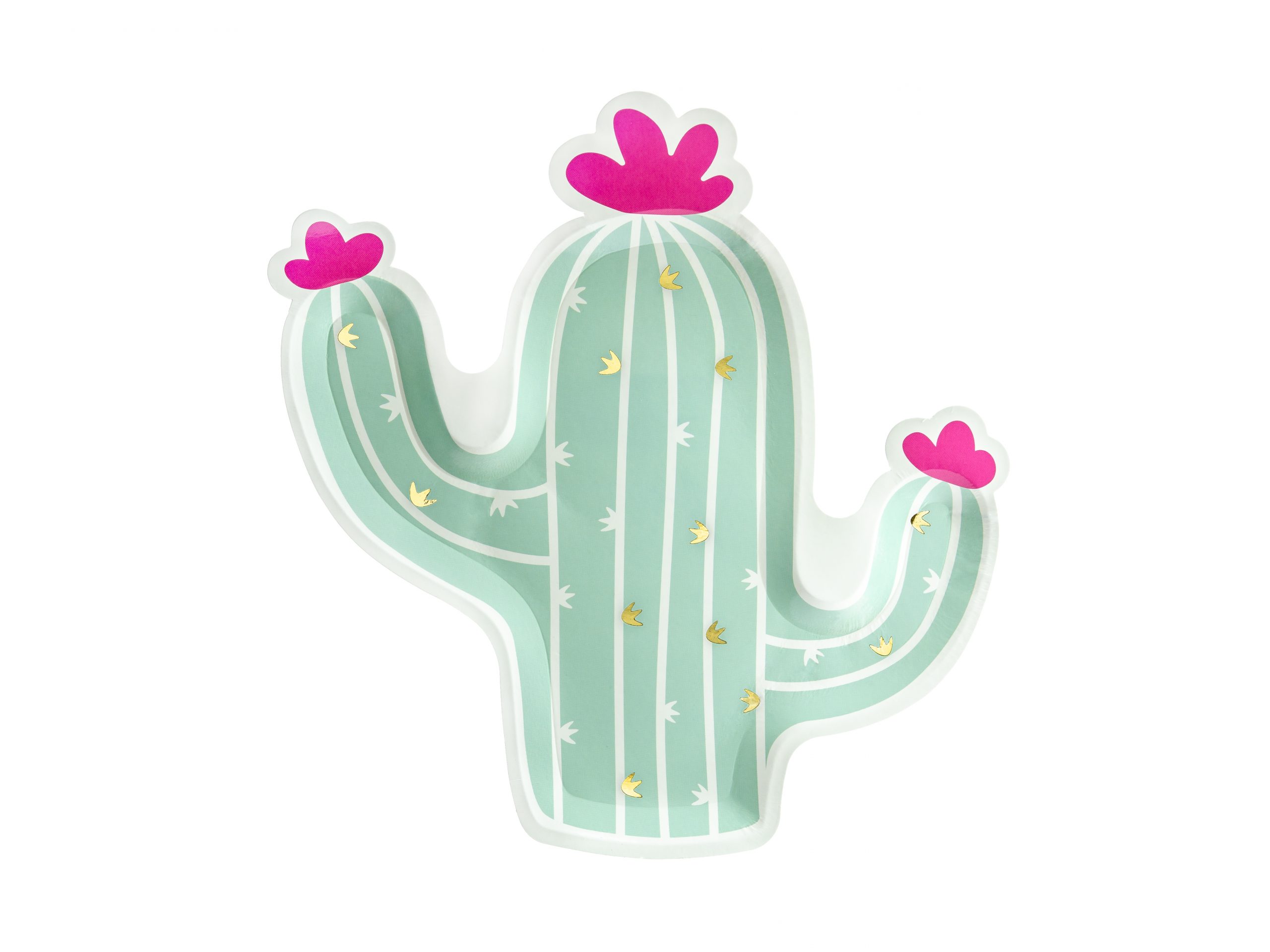 Plato cactus